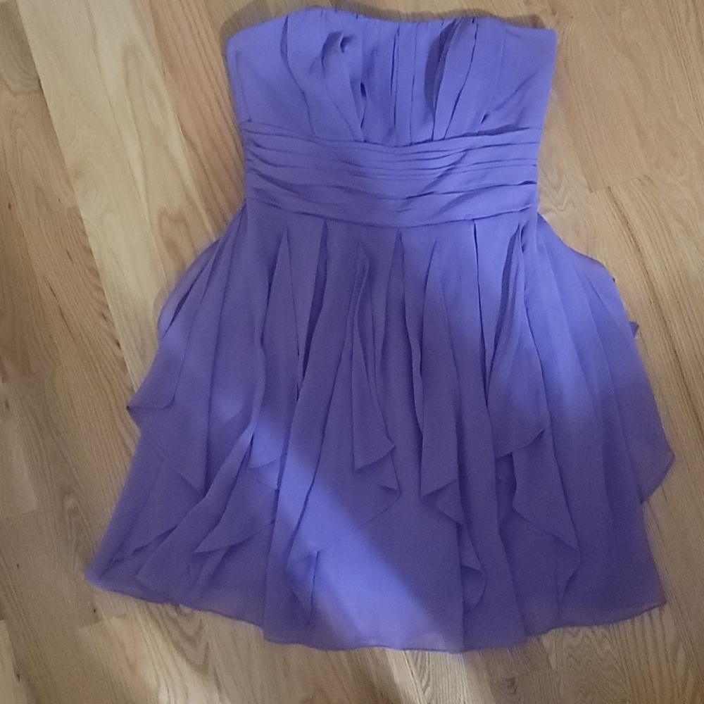 David's Bridal (Bride's Maid Dress)